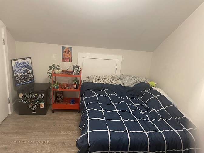 Rex's room