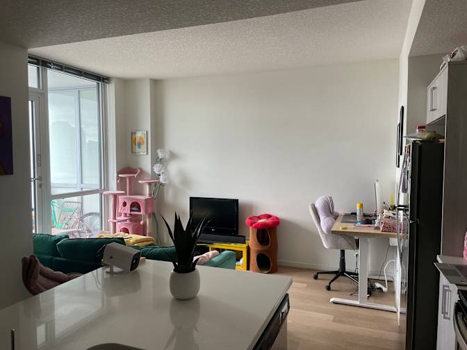 Alison Elewa's room