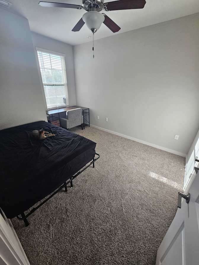 Austin's room