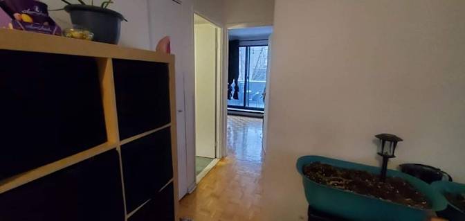 Mohamad's room
