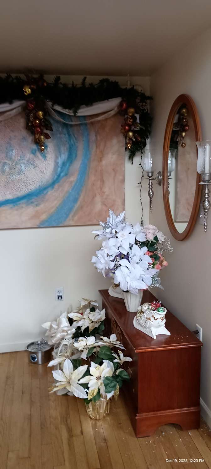 Iluminada Stange's room