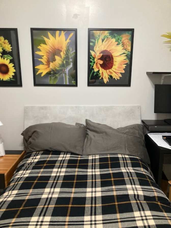 Laurie Petersen's room