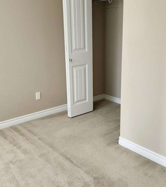 Zaidi's room