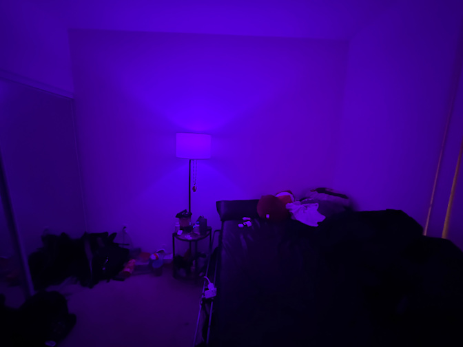 Liliana's room