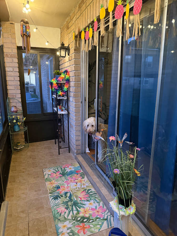 Susan's room