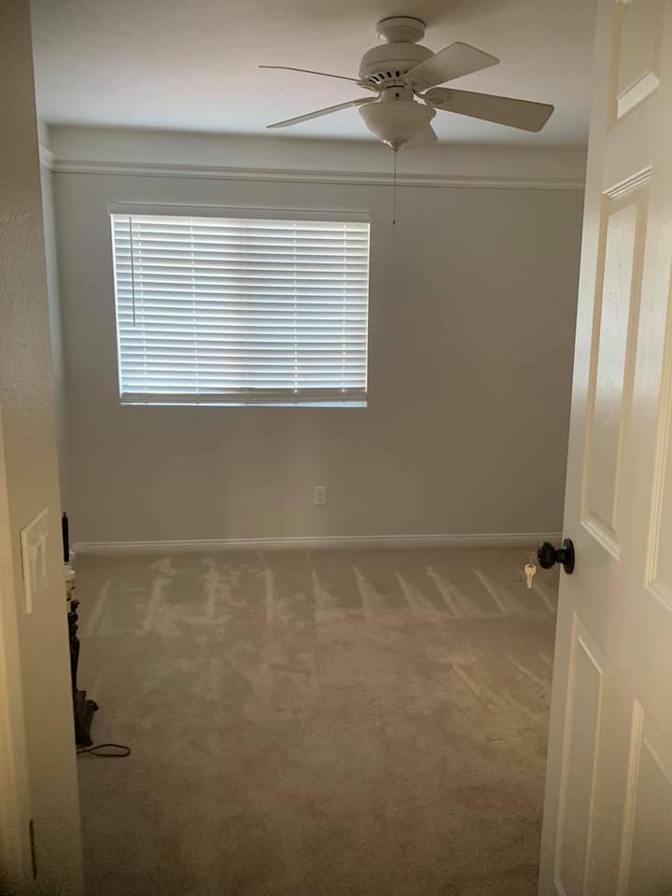 Franny Rod's room
