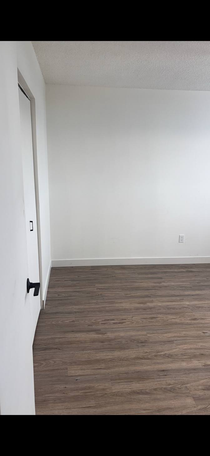 Jasey's room