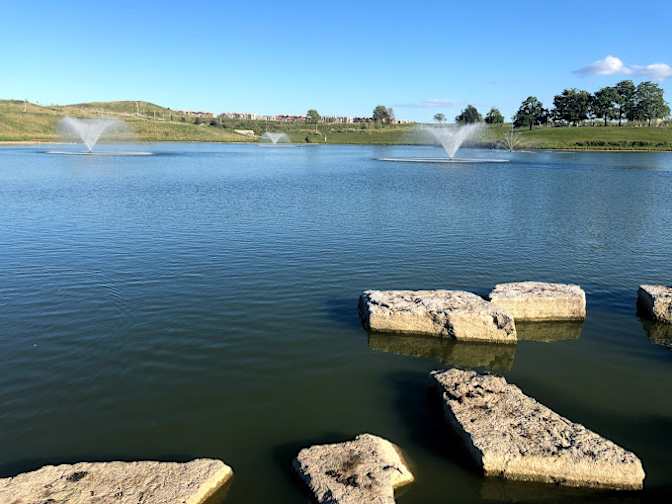 Liliana and Eugene's room