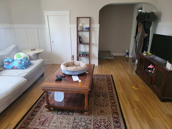 Haydn's room