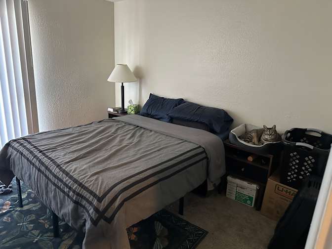 Rob's room