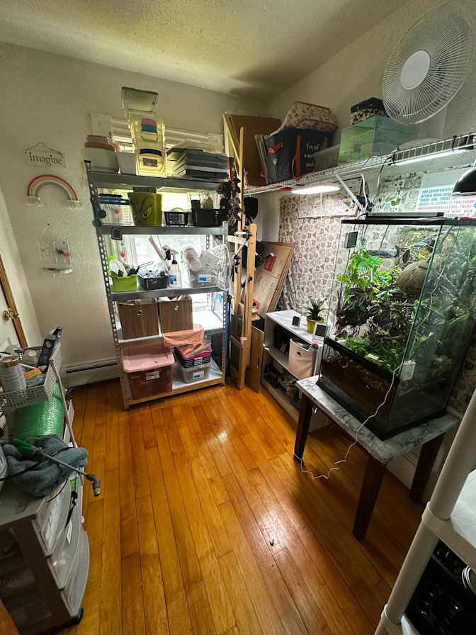 Willow's room