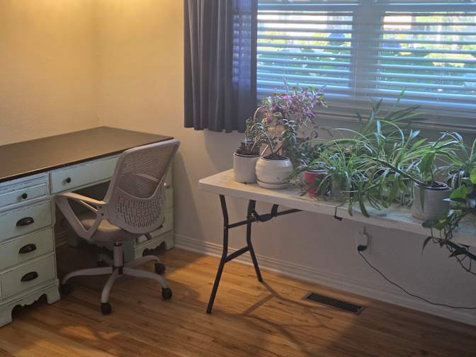 Jeffrey Dolan's room