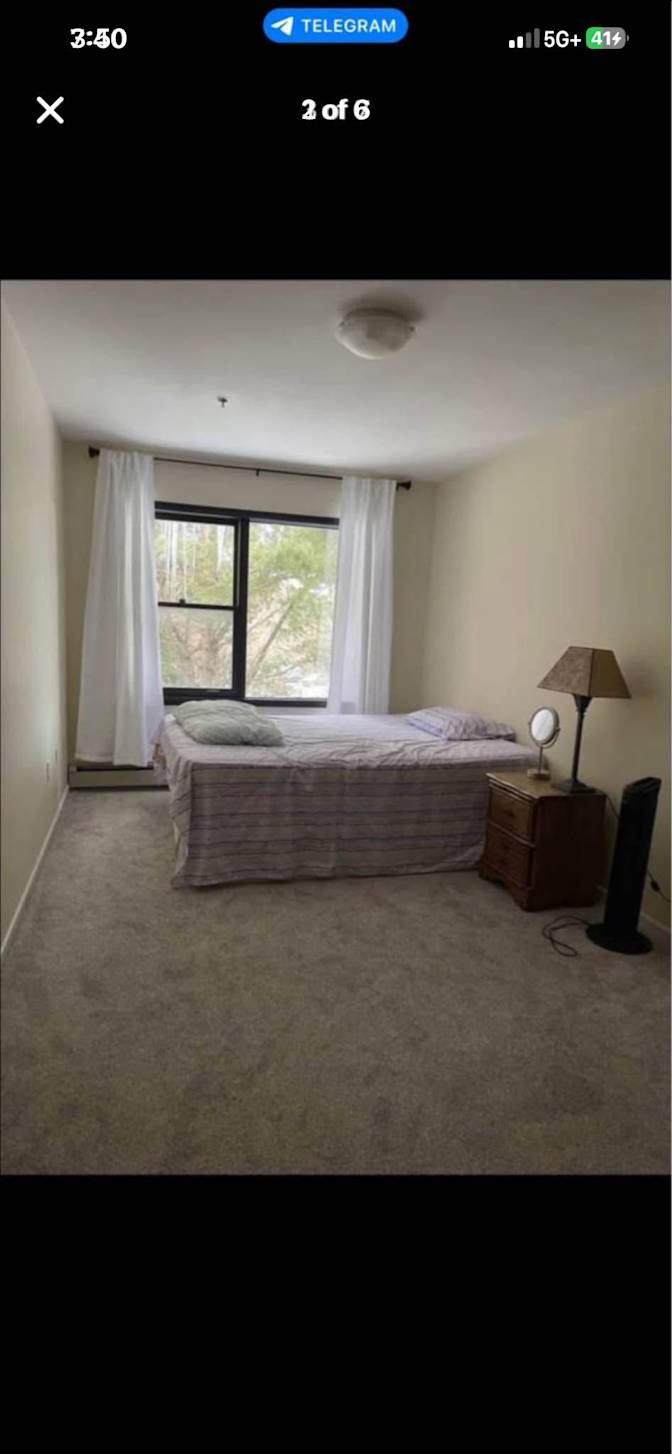 Maryam's room