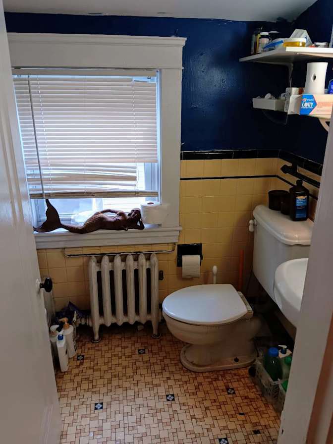 Dimitri's room