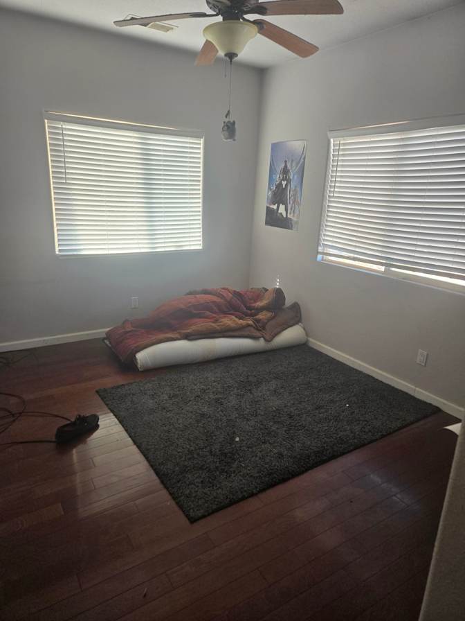 Mario's room