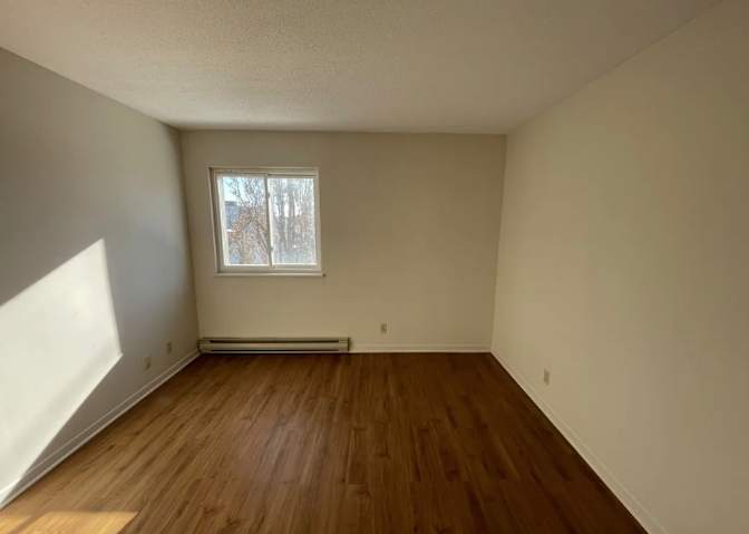 Kelly Schnobb's room