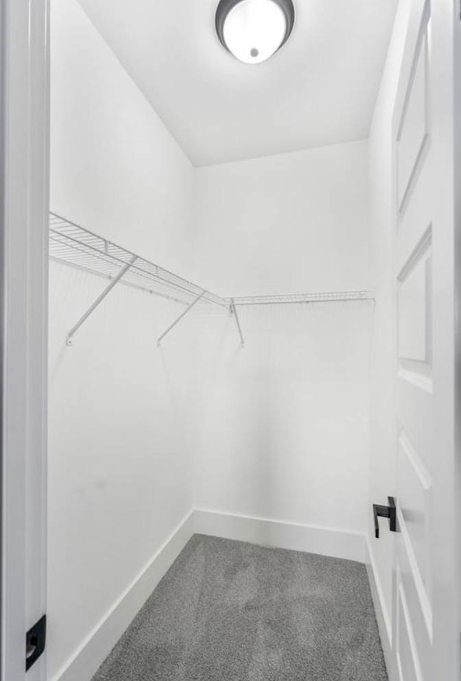 Molly's room
