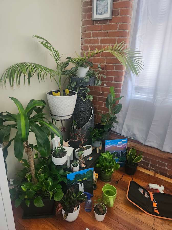 Sophia's room