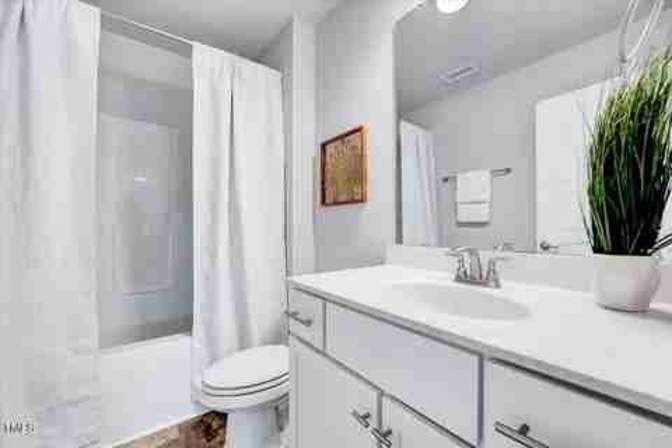 Alcove Rooms's room