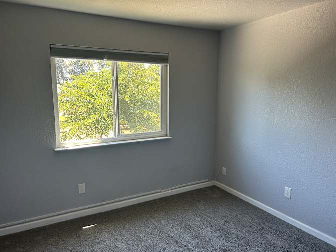 Mark's room