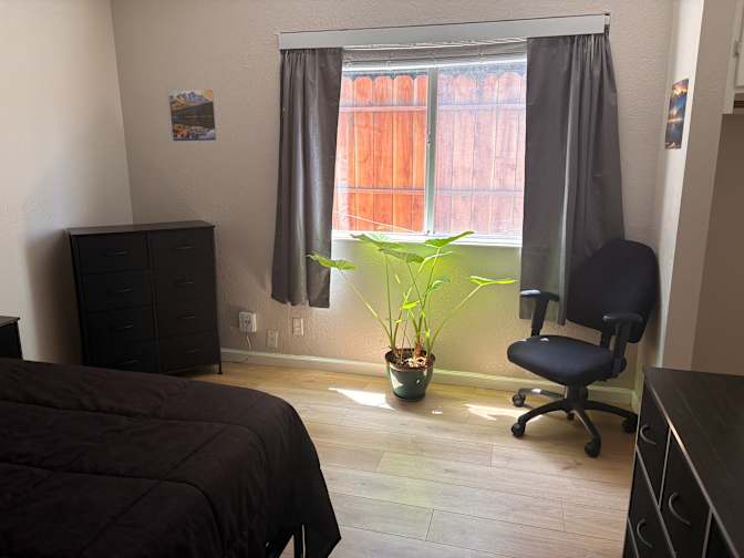 Michelle's room