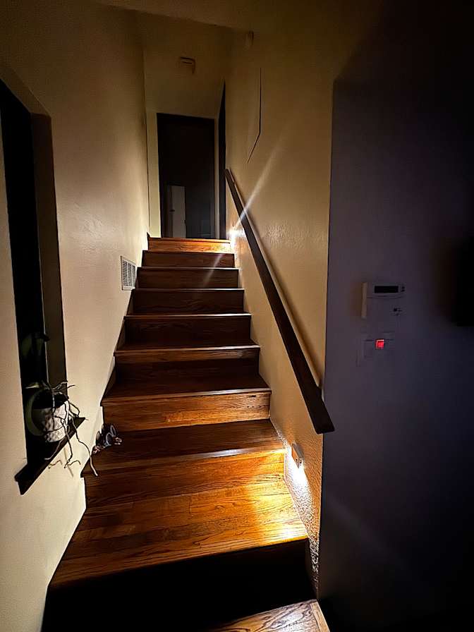 David's room