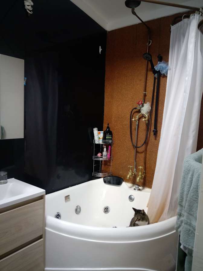 L's room