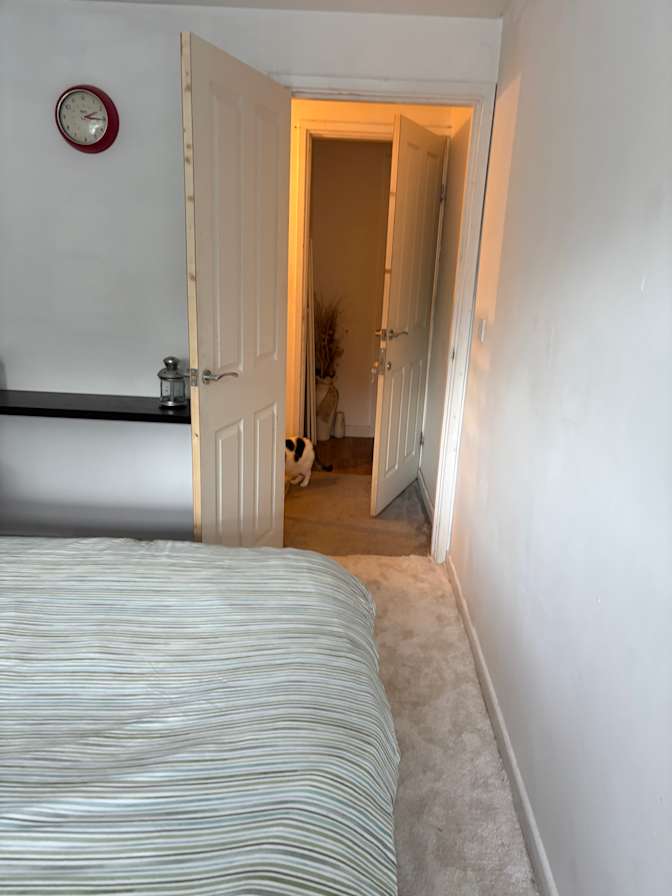 Lisa Lane's room