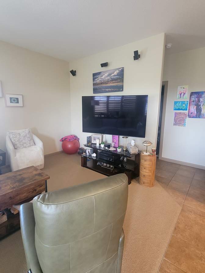 Palisades Way - Photo 12