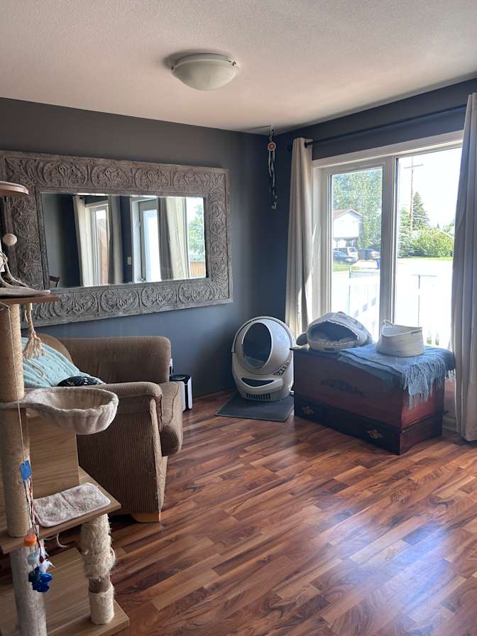 Erin's room