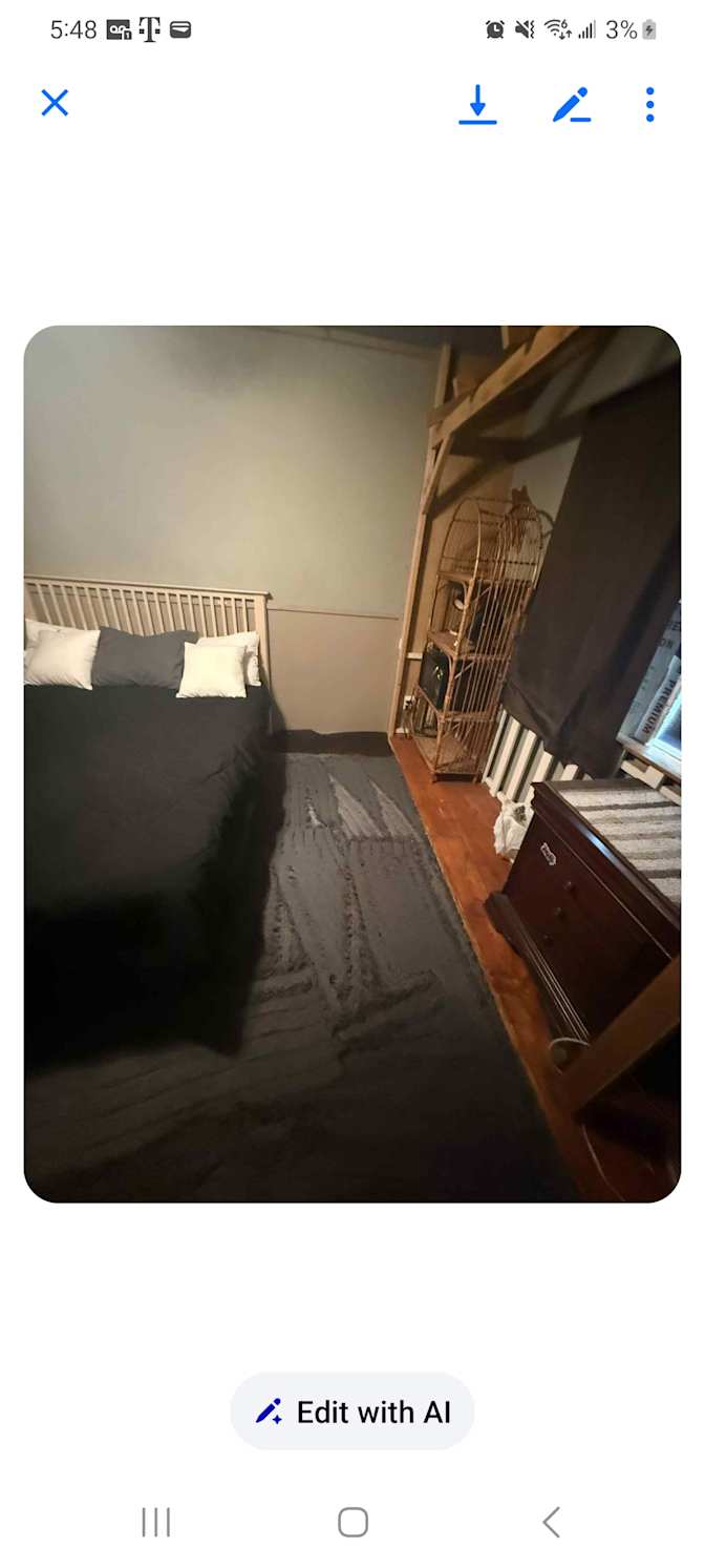 Bear's room