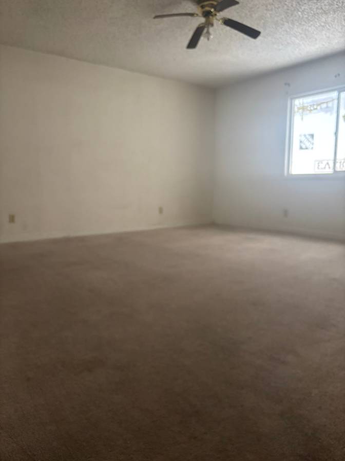 Christel Zazueta's room