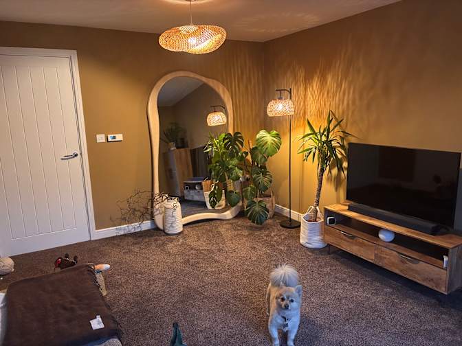 Andrew's room