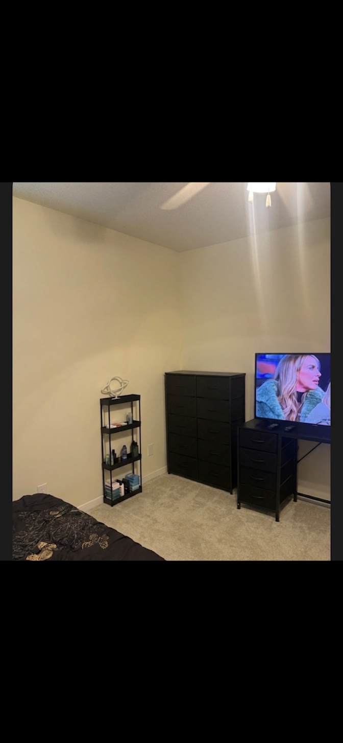 Angelica's room