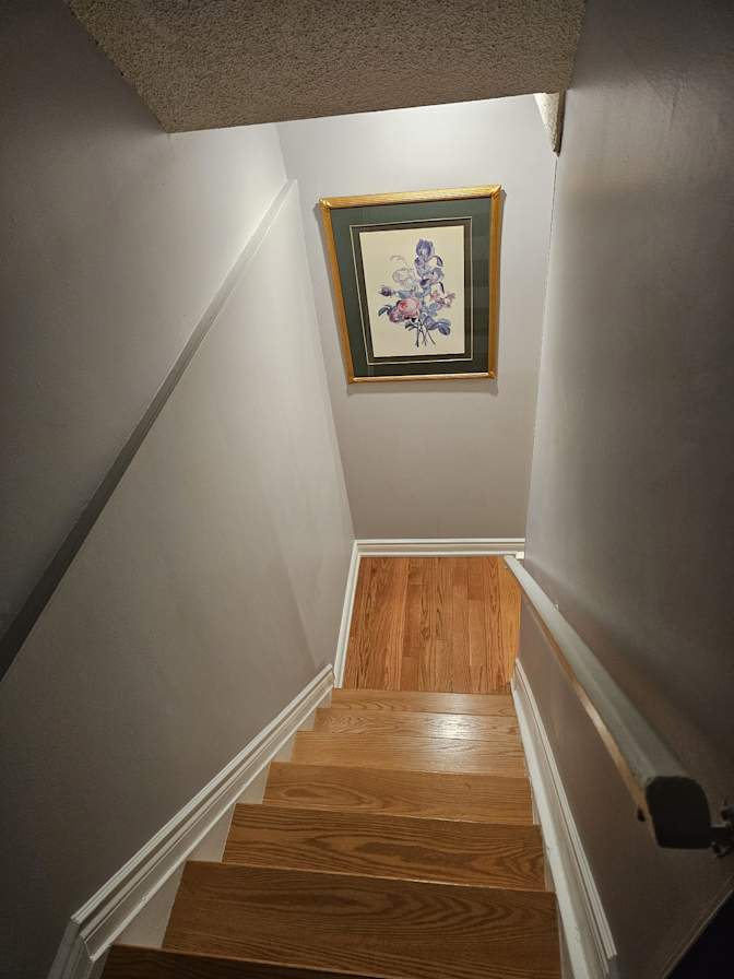 Patricia's room