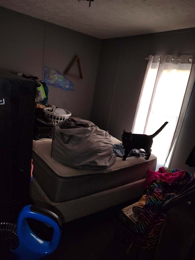 Clarissa's room