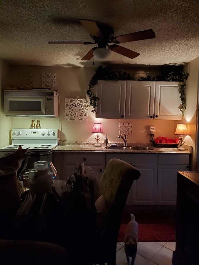Jebbie's room