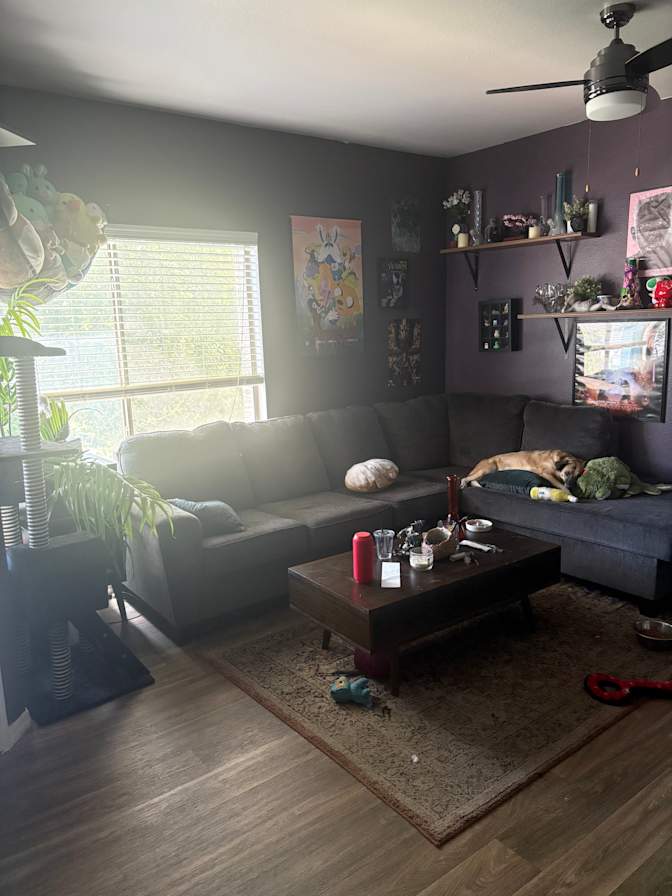 Elizabeth's room