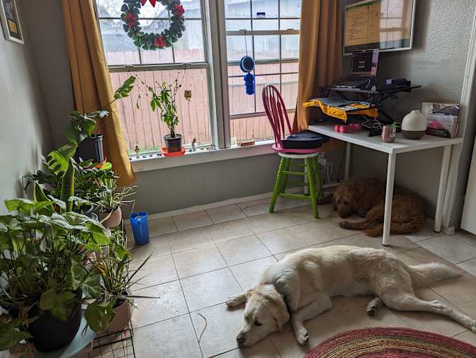 Cecilia's room
