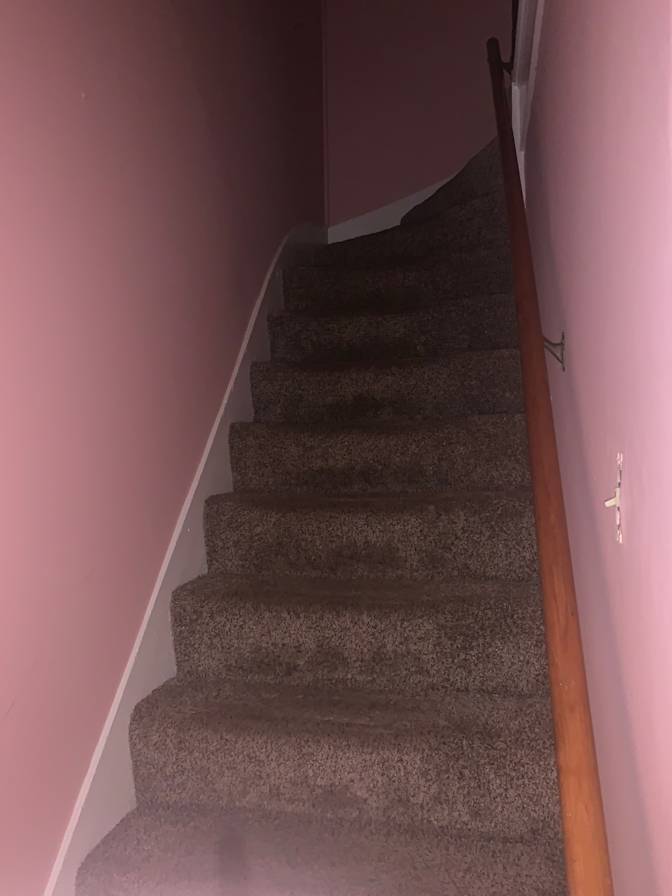 Cat's room