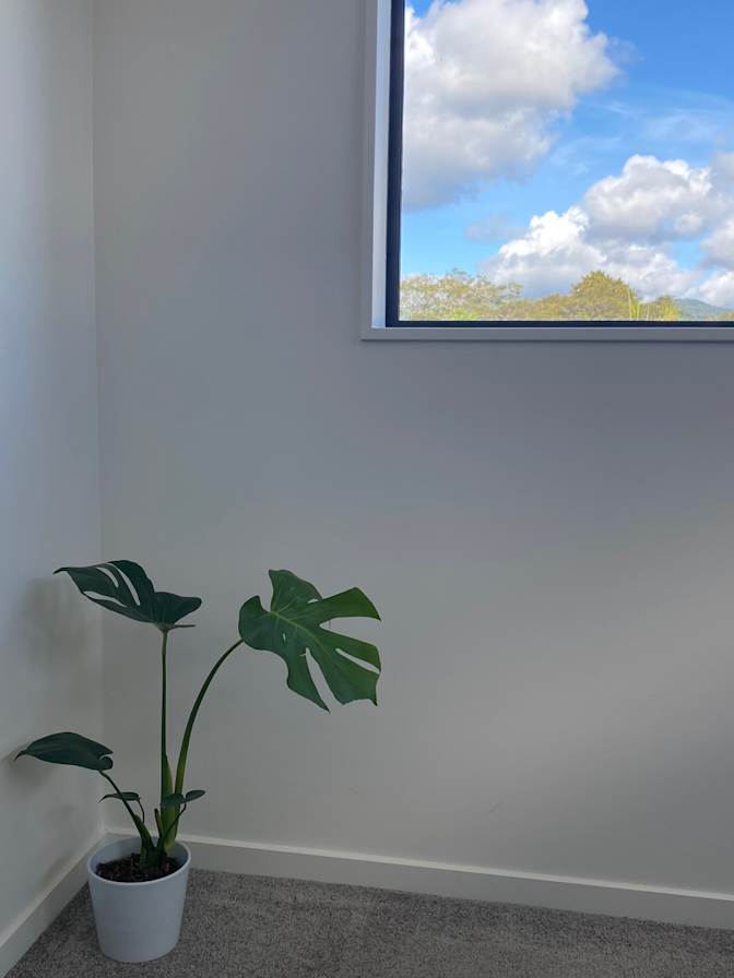 Sheba's room