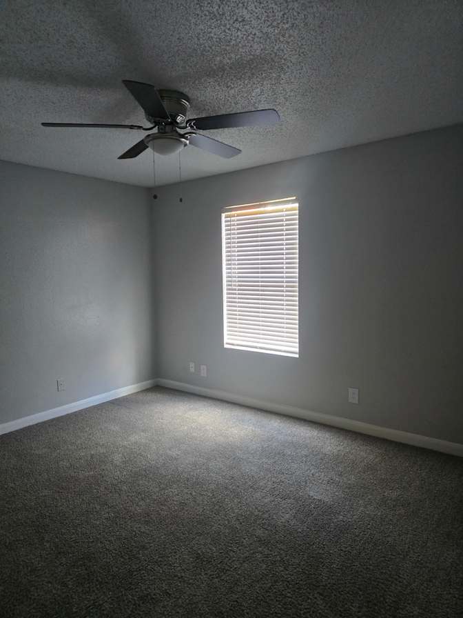 Stephanie's room