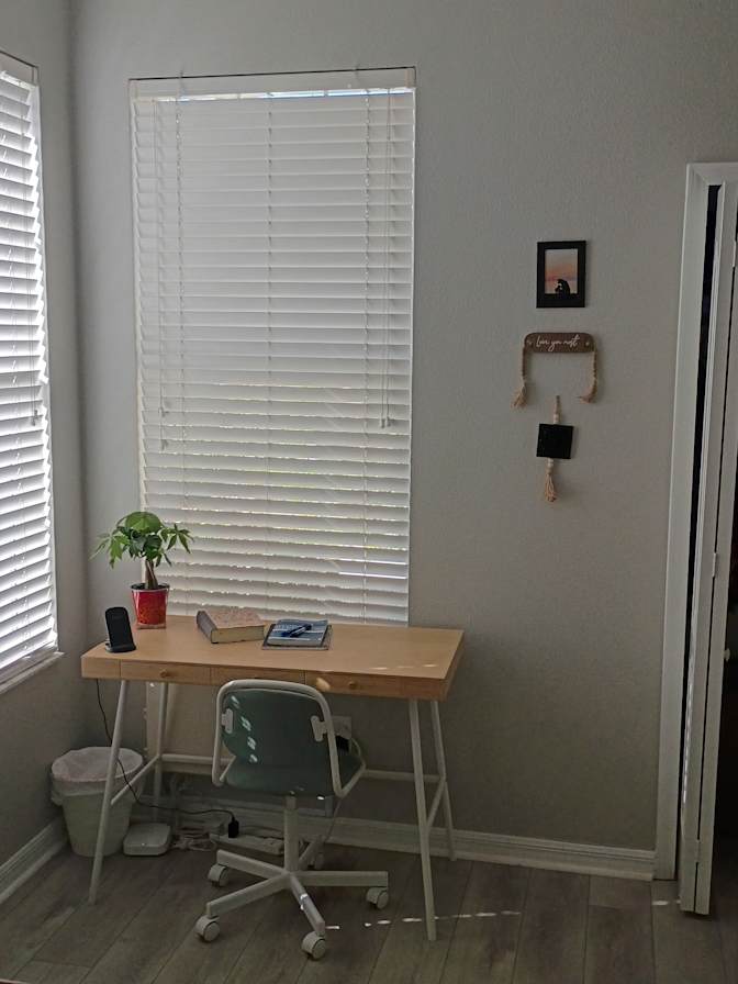 Mary's room