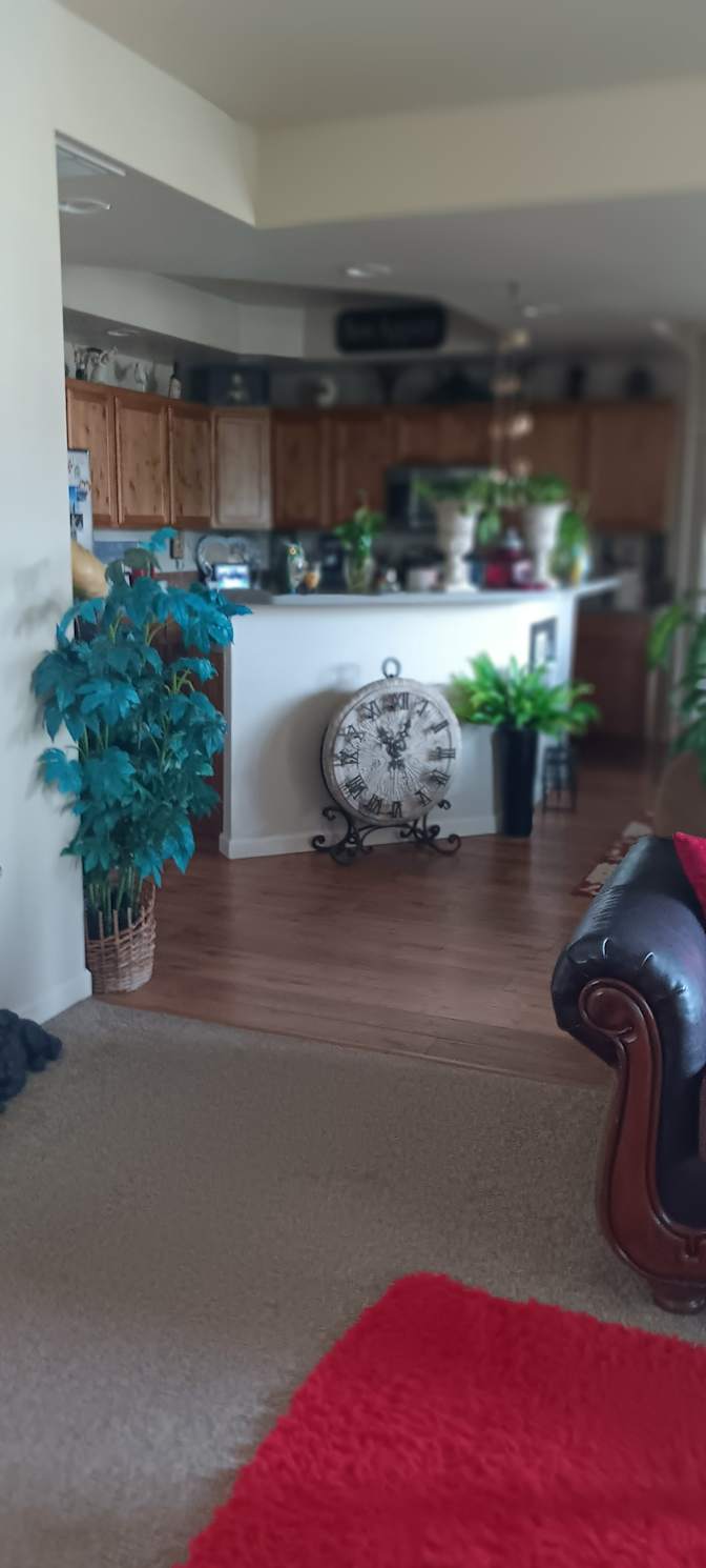 Bobbi's room