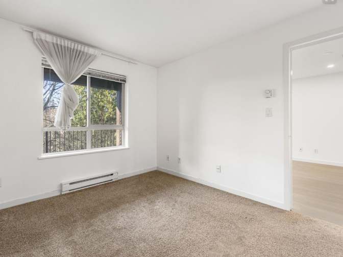 Shane's room