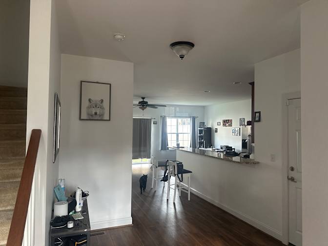 John Monaco's room