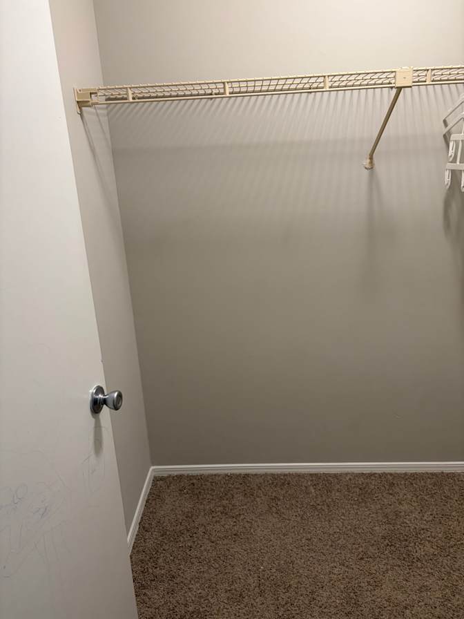 Alesha's room