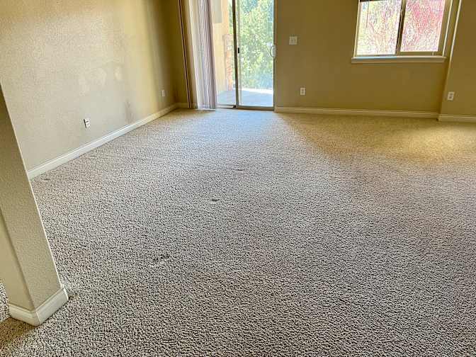 Lawrence's room