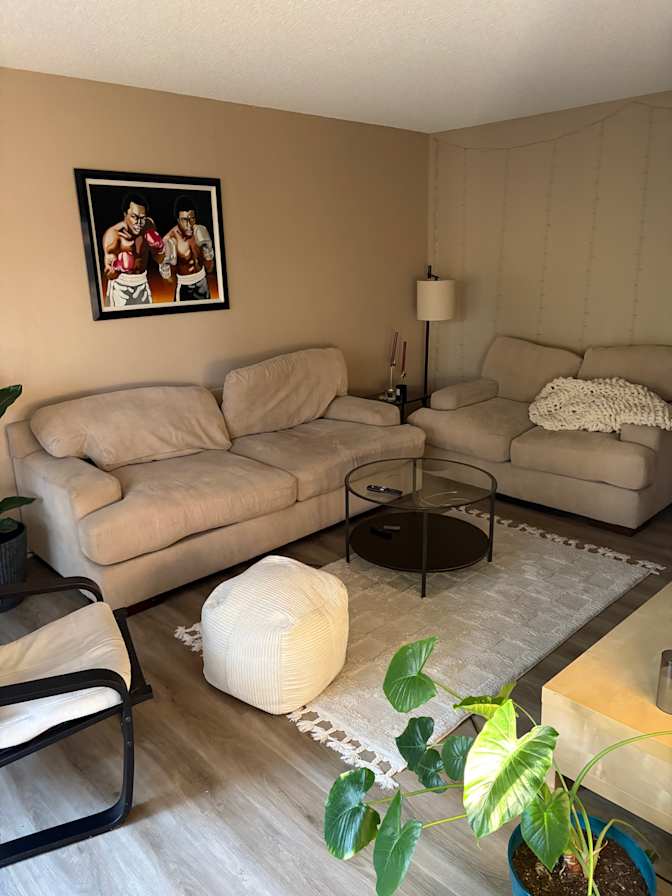 Jasmin's room