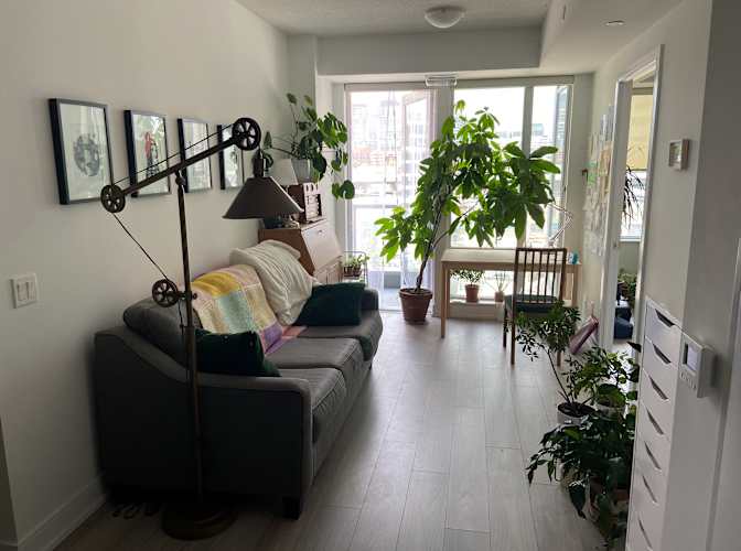 Ann's room